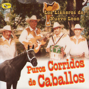 Puros Corridos de Caballos