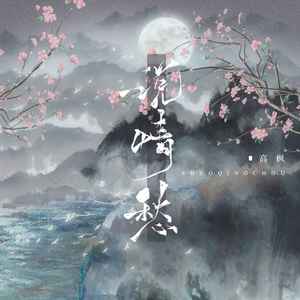 说情愁 (DJ阿卓版伴奏)