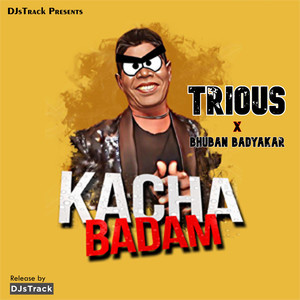 Kacha Badam (Remix)