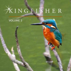 Kingfisher, Vol. 2