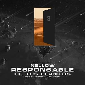 Responsable de tus llantos