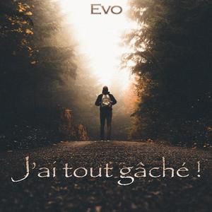 J'ai tout gâché !