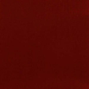 Cannot Die (feat. ThaKID) (Explicit)