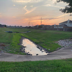 YTN C3 GIRLS WANT THEMSELVES