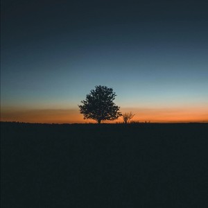 你的善良和恶毒都不够纯粹