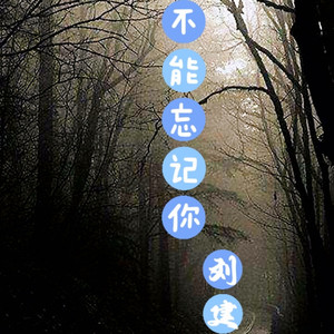 不能忘记你伴奏