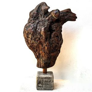 Speaking With Trees (with IN-Q)