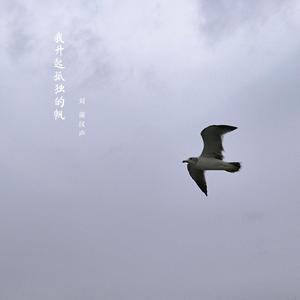 我升起孤独的帆 伴奏