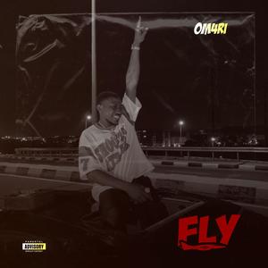 Fly