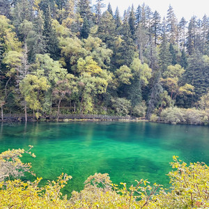 山云星语 (三位好友合唱版)