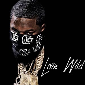 Livin Wild (feat. Meek Milly) [Explicit]