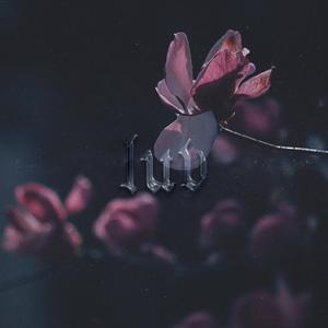 Luv (prod. callmenikxr)