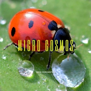 Microcosmos