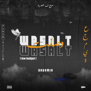 WASALT (Low budget) [Explicit]