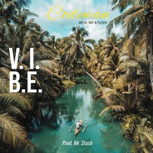 Vibe (feat. Nk'Stush)