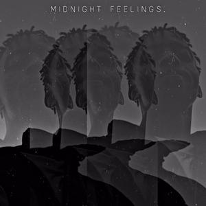 MIDNIGHT FEELINGS (Explicit)