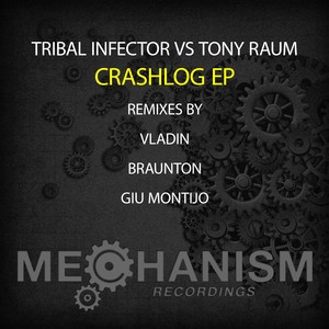 Crashlog (Braunton Remix)