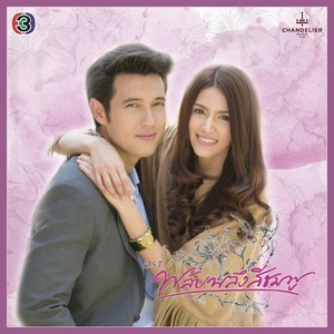 พบรัก (เพลงประกอบละคร พลับพลึงสีชมพู)