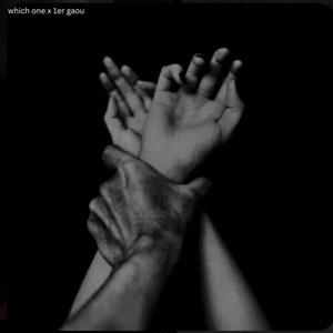 which one x 1er gaou (Ark28 Remix)