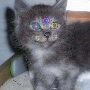 slatty with me (Explicit)