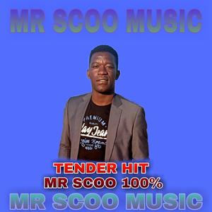Mr Scoo TENDER