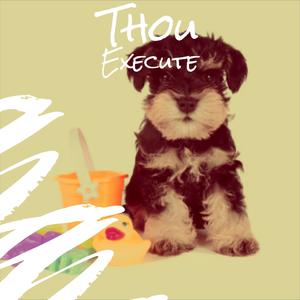 Thou Execute