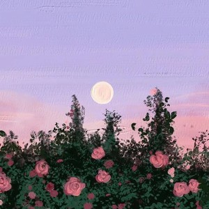 刻在我心底的名字