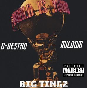 Big Tingz (feat. Mildom) [Explicit]