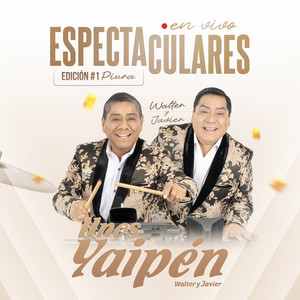 Necesito un Amor (En Vivo)