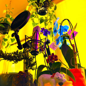 Life = XP (Floki Remix)