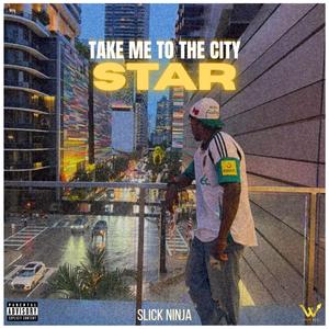 Star (Take me to the City) (feat. Slick Ninja)