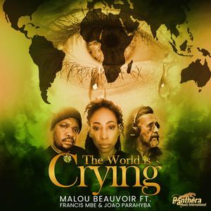 The World is Crying (feat. Francis Mbe & Joao Parahyba)