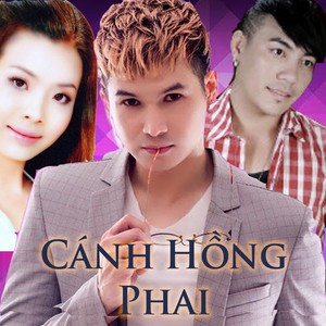 Cánh Hồng Phai