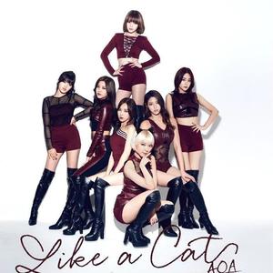 Like A Cat (猫步轻悄)
