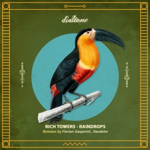 Raindrops (Florian Gasperini Remix)