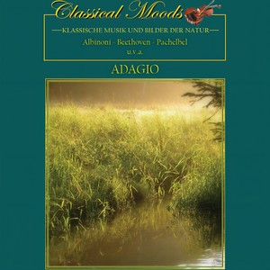 Canon and Gigue in D Major, P. 37 - I. Canon