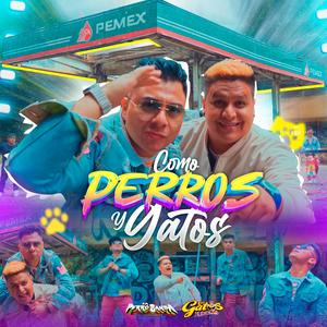 Como Perros y Gatos (feat. La Perro Banda) (Explicit)