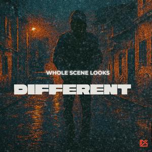 Whole Scene Looks Different