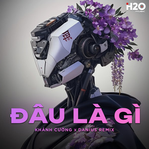 Đâu Là Gì (Danius Remix)