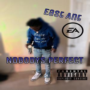 Nobodys Perfect (Explicit)