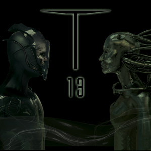 T-13