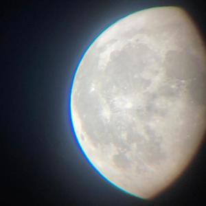 fly you to the moon (feat. ReedsNovember) (Explicit)