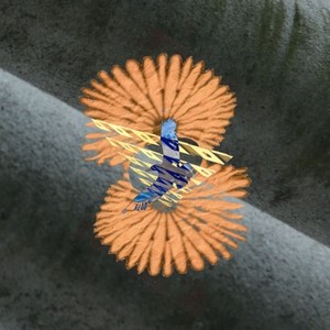 if (feat. Siryu) (Remix)