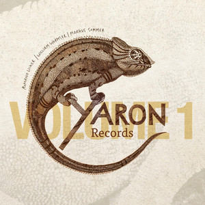 Yaron Records, Vol. 1