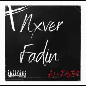 Nxver Fadin (Explicit)