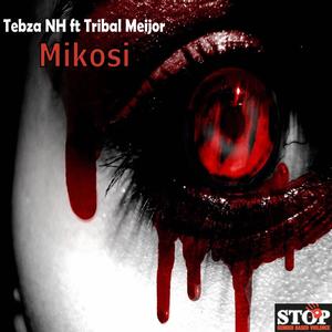 Mikosi (feat. Tebzah NH)