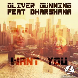 Want You (Olivers Dub Mix)