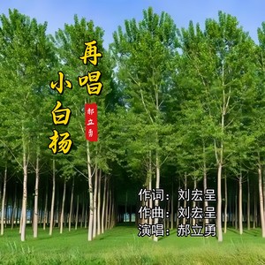 再唱小白杨 (伴奏)