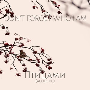 Птицами (Acoustic)