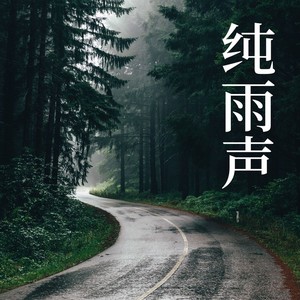 雨和鸟的声音 (DJ长音频)封面